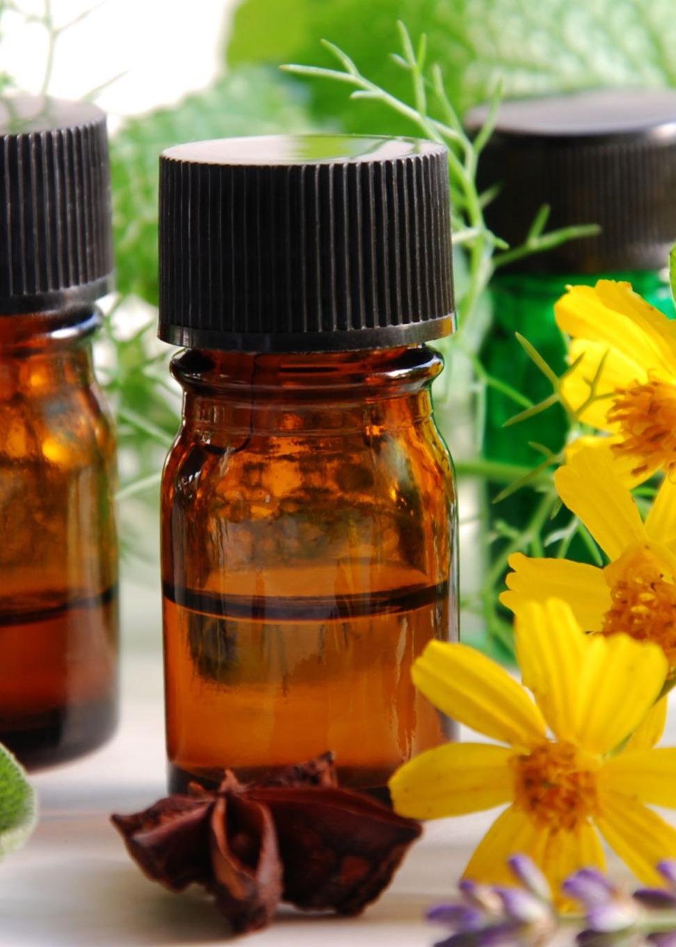 aroma4.jpg