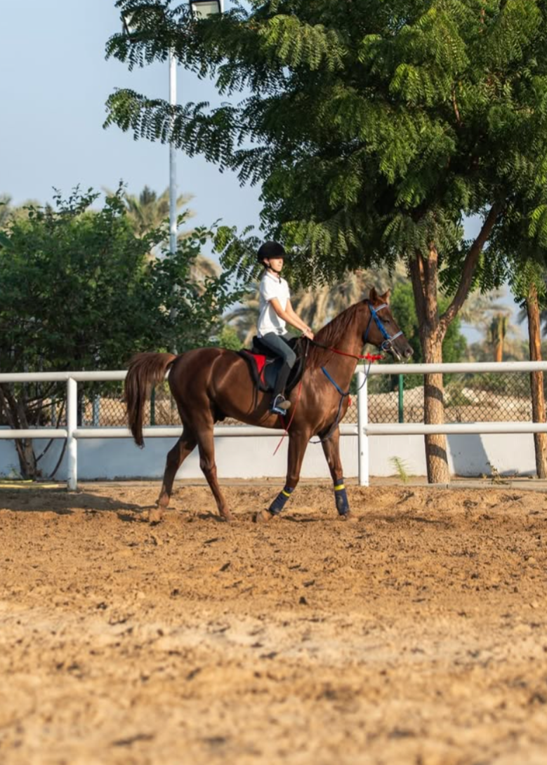 Private Horse Riding Lessons in Mushrif Park | Book Today